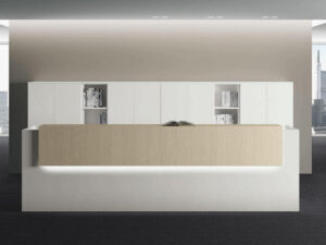 reception basic 1_1