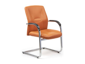 MAX S 1_1